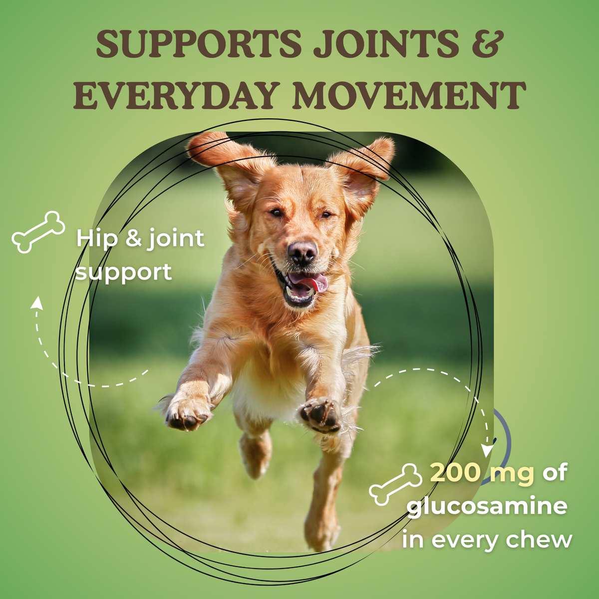 Toast of the Town, Soft Dog Treats with Glucosamine, Peanut Butter & Blueberry
