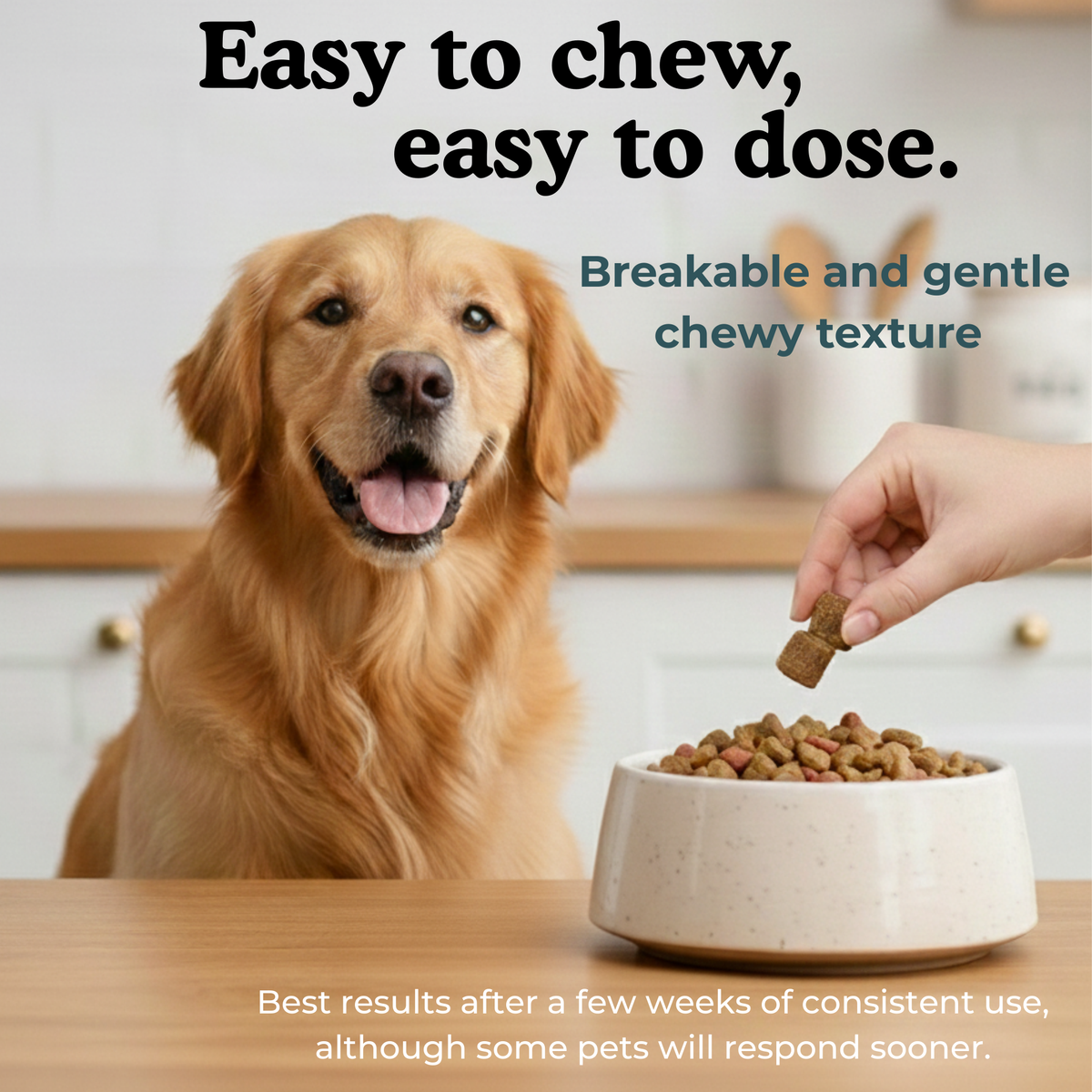 Hair of le Dog - Canine Digestive Health Probiotic Chews 10oz