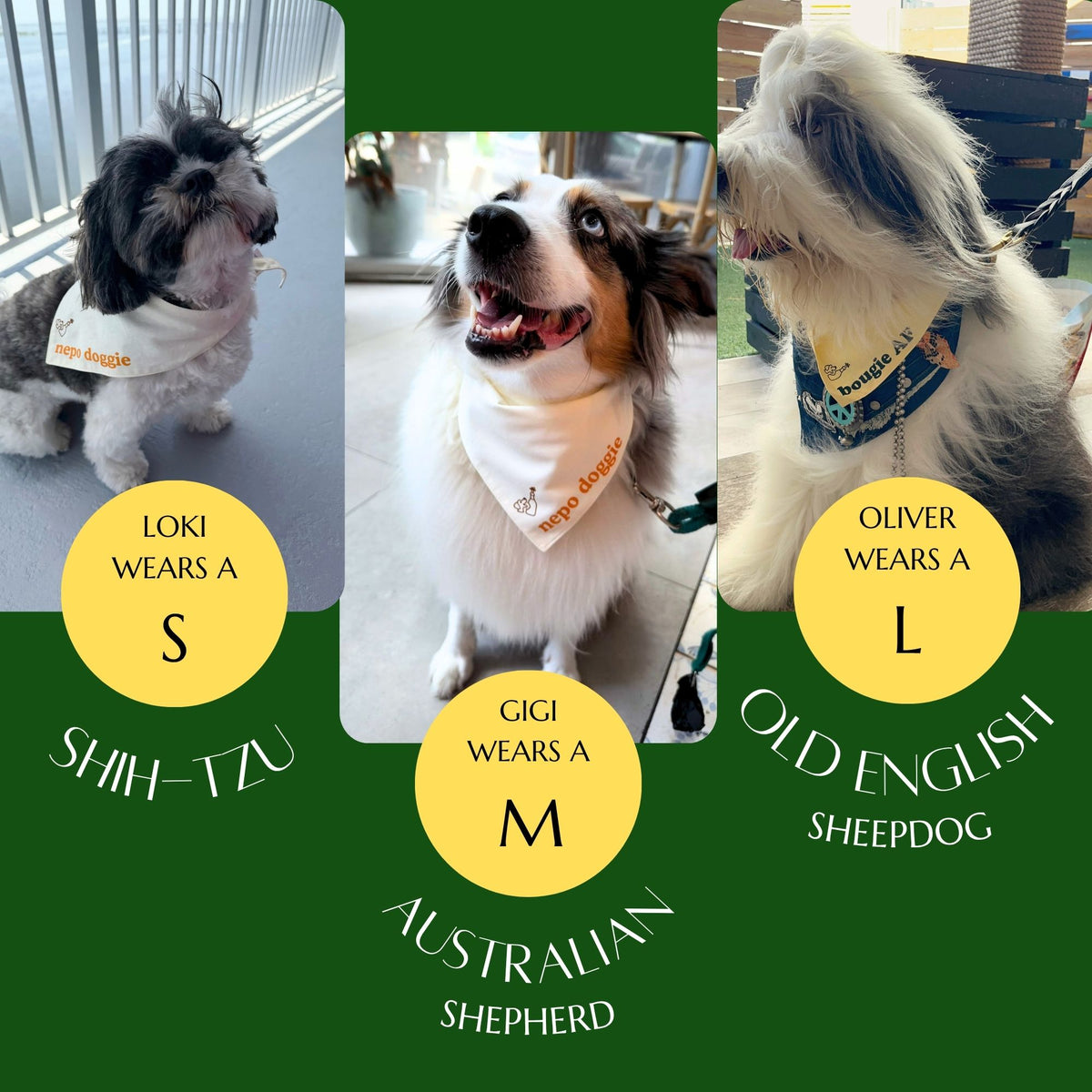 Three different size dogs are showcasing the different sized dog bandanas on a dark green background. The Size Small is modeled on a Shihtzu. The size Medium is modeled on an Australian Shepherd. The size Large is modeled on a sheepdog.