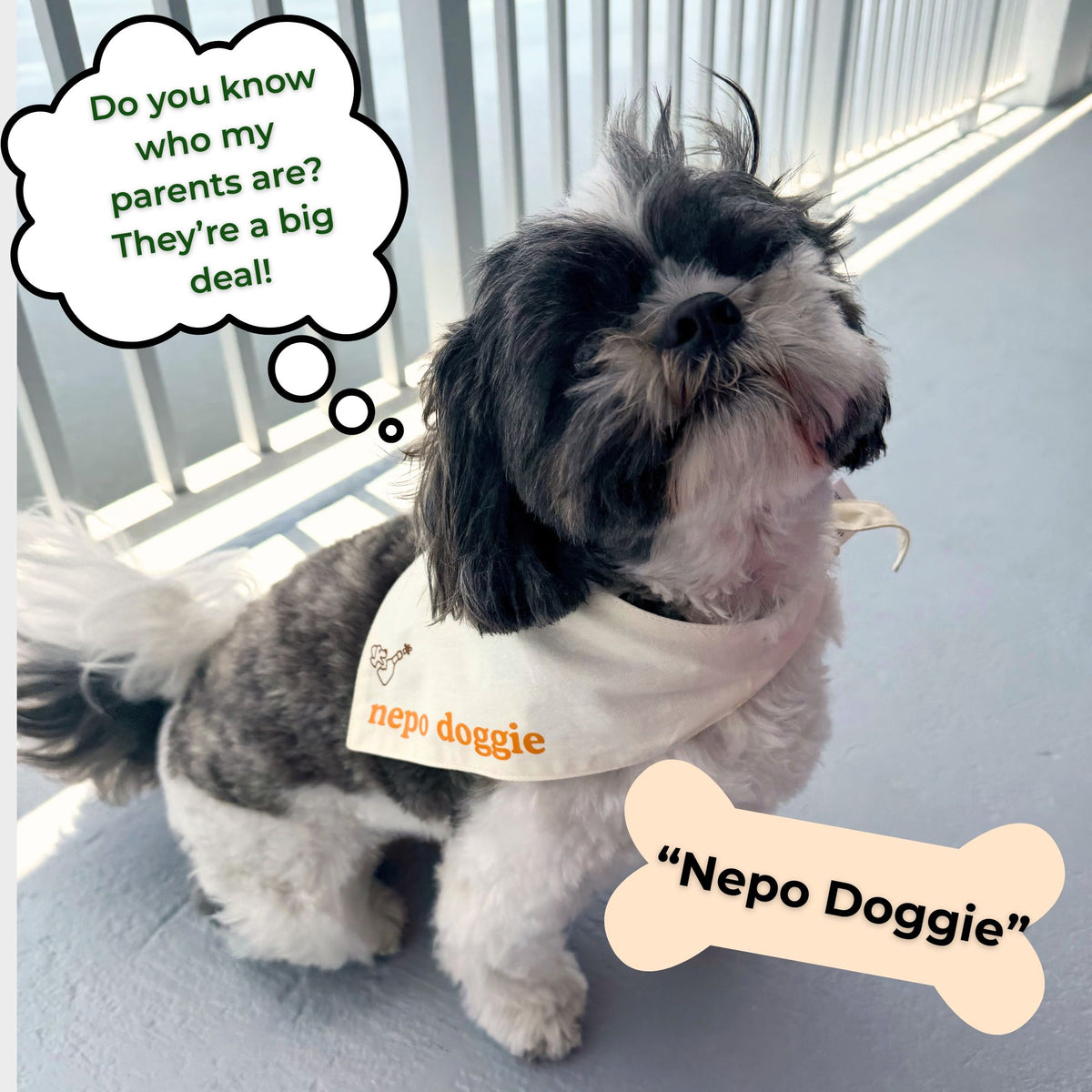 A small black-and-white dog wearing a cream bandana with orange text that reads "nepo doggie." The dog sits on a light blue balcony near white railings. A thought bubble says, "Do you know who my parents are? They're a big deal!" and a bone-shaped label says, "Nepo Doggie."