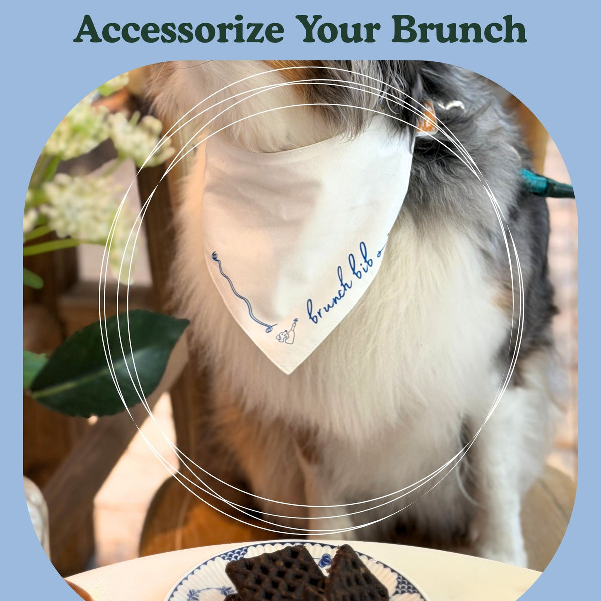 A dog wearing a white bandana with blue embroidered script that says "brunch bib", set against a cafe-like background. The image has a blue border with the text 'Accessorize Your Brunch' at the top.
