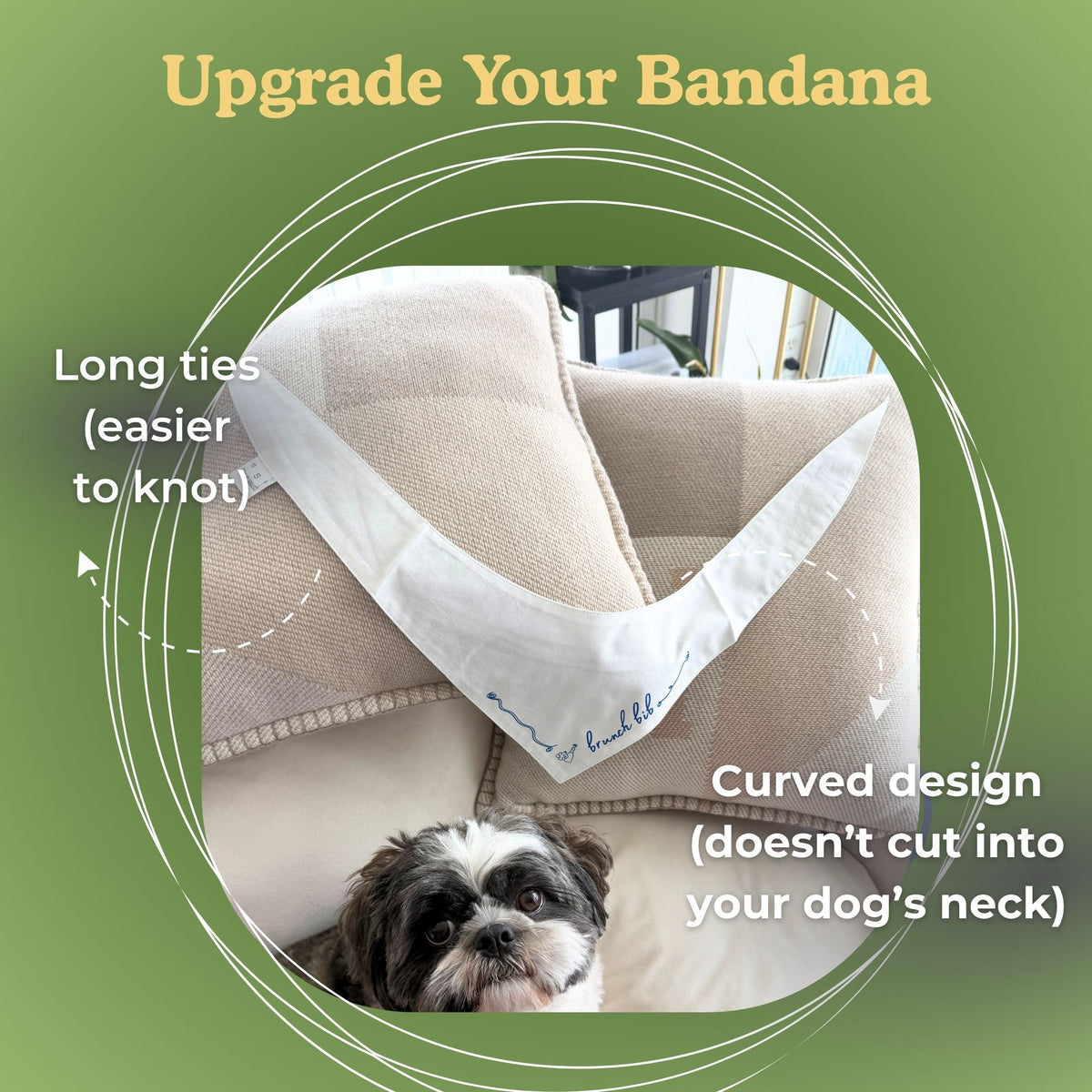 A dog bandana shown draped over a beige sofa, with text callouts explaining its long ties that make it easier to know, and its curved neck-friendly design. A small black-and-white dog is visible at the bottom of the inset photo, and the overall graphic has a green background with the headline 'Upgrade Your Bandana.